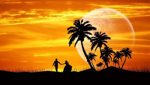 Пальмы на фоне заката