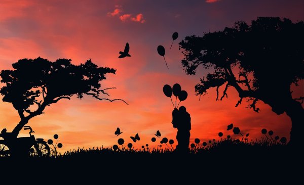 Силуэт дерева