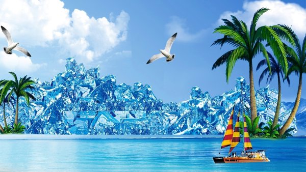 Море пальмы дельфины