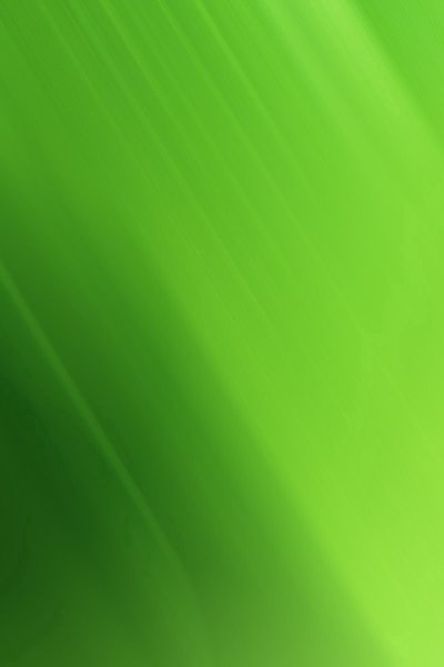 Светло зеленый цвет