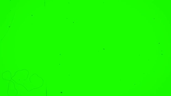 Зеленый цвет однотонный