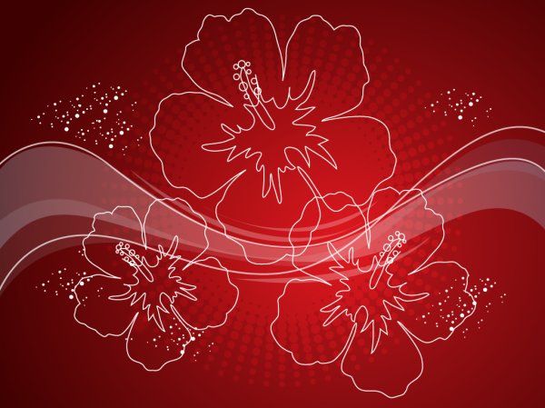 Узор цветов на Красном фоне