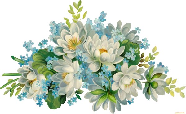 Цветы на прозрачном фоне