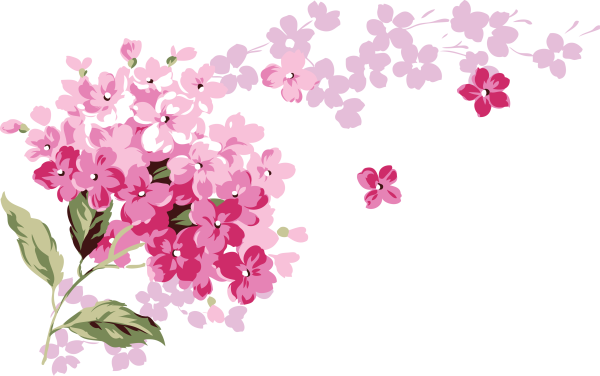 Цветочки на прозрачном фоне