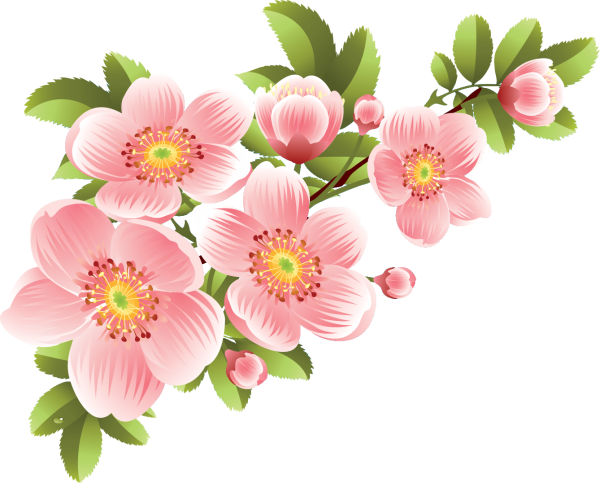 Весенние цветы на прозрачном фоне