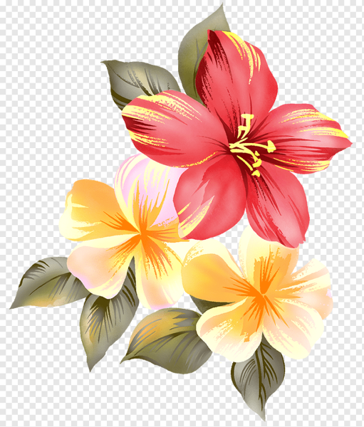 Цветы на прозрачном фоне