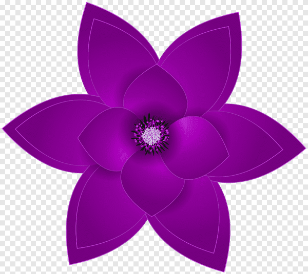 Цветы на прозрачном фоне