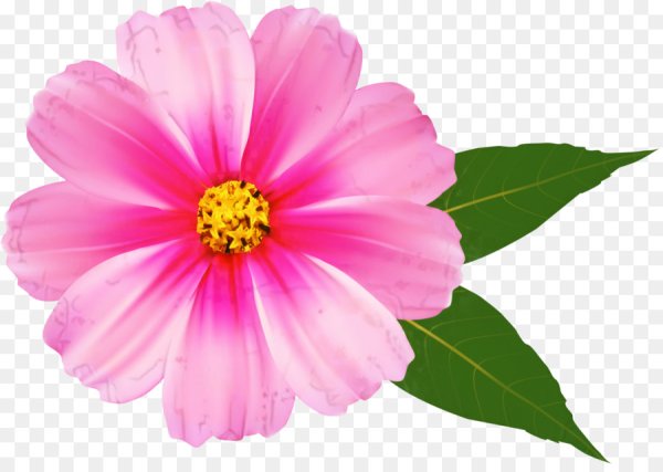 Цветочки на белом фоне