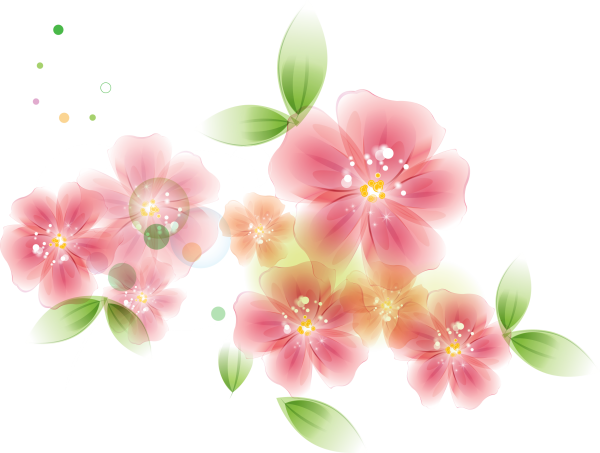 Цветы на прозрачном фоне