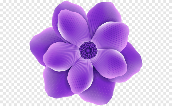 Фиолетовые цветочки