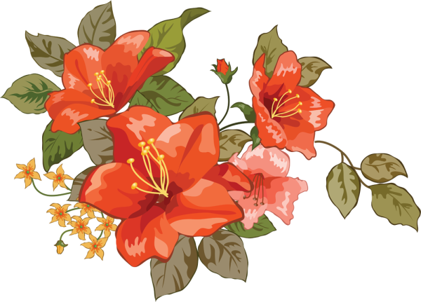 Растровые рисунки цветов