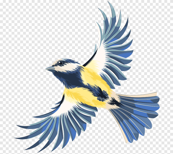 Птички на прозрачном фоне