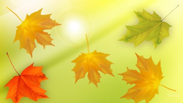 Осенние листья фон