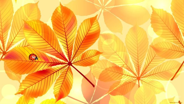 Осенние листья абстракция