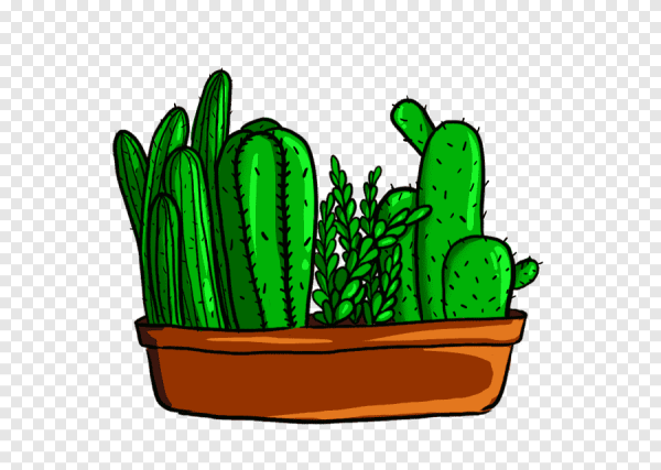 Кактусы мультяшные