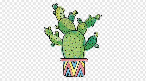 Кактус иллюстрация