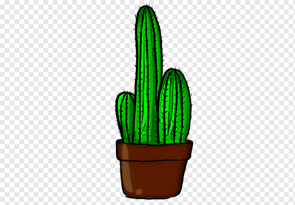 Кактус для скретча