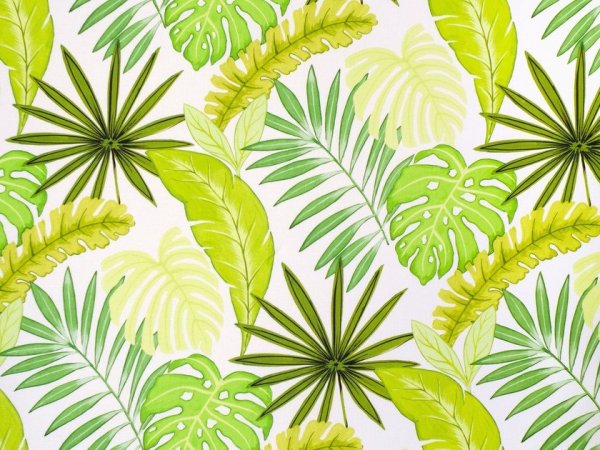 Тропический фон