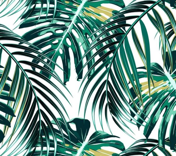 Пальмовые листья