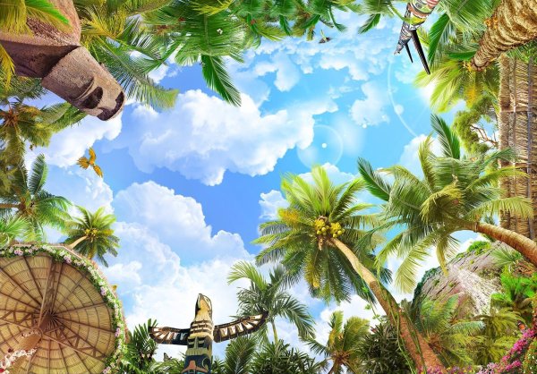 Тропики для детей