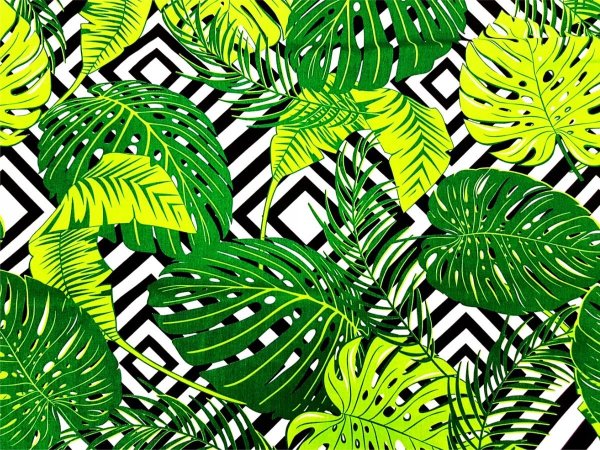 Папоротник паттерн