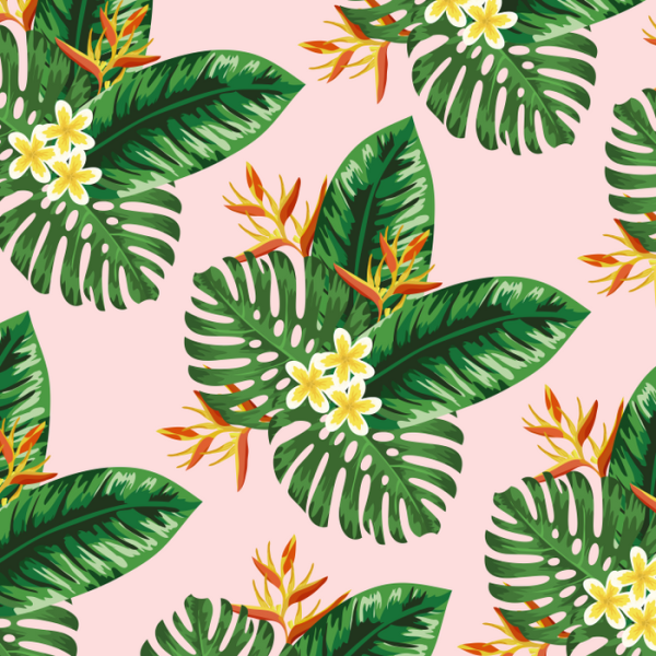 Векторные тропические листья