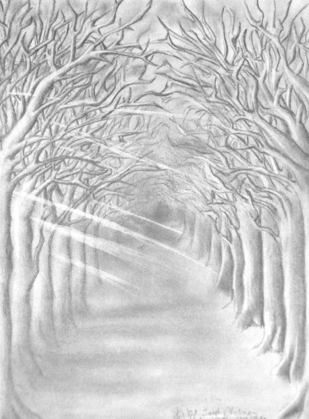 Карандашный фон