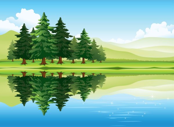 Лес озеро вектор