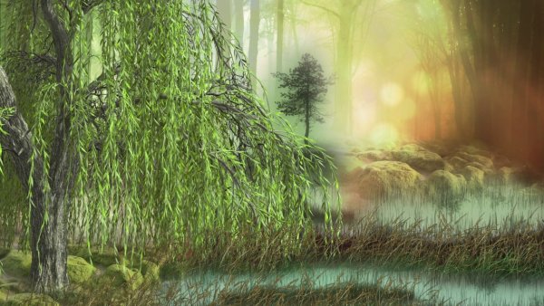 Болото для фотошопа