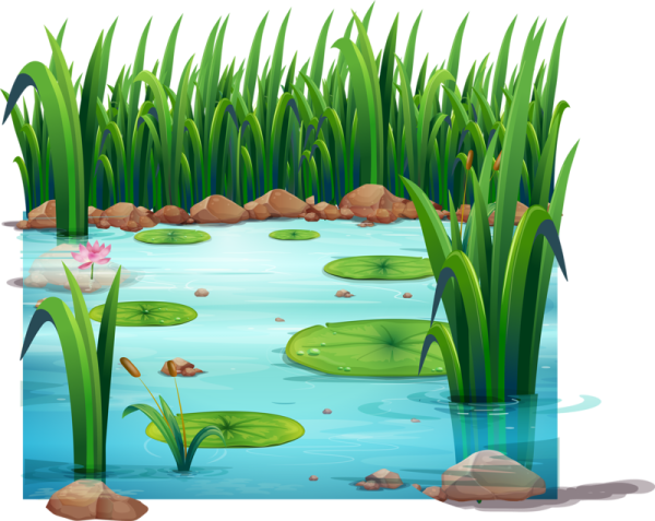 Нарисовать болото