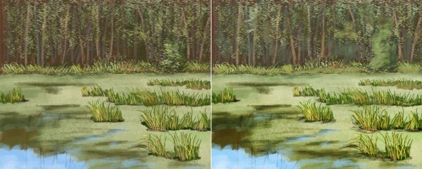 Болото с кочками для детей