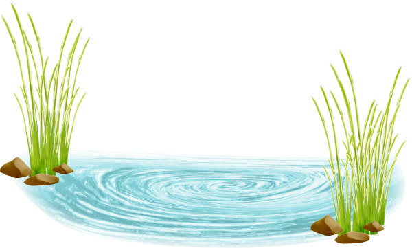 Болото для детей