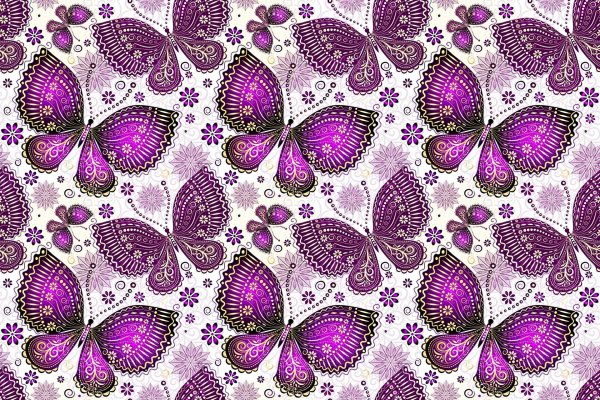 Фон бабочки