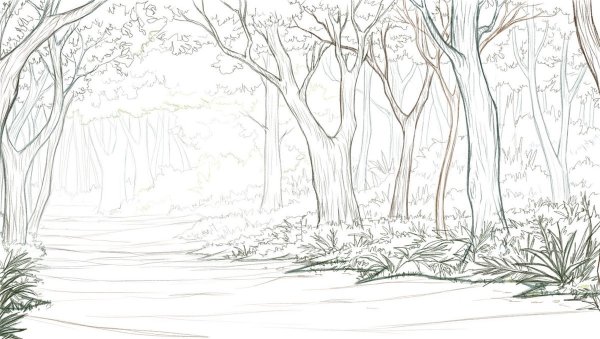Лес карандашом