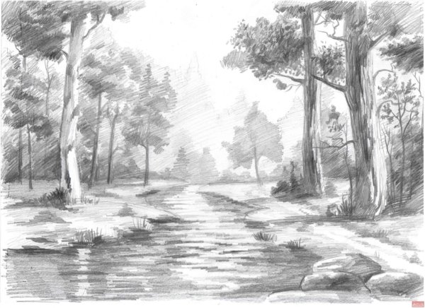 Пейзаж карандашом