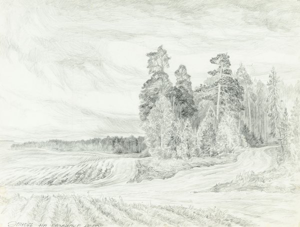 Рисунки карандашом природа