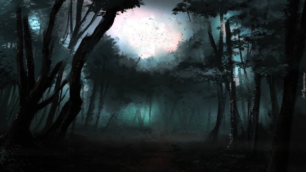 Ночной сад Заболоцкий