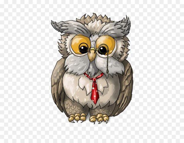 Сова на прозрачном фоне