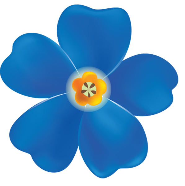 Синие цветы