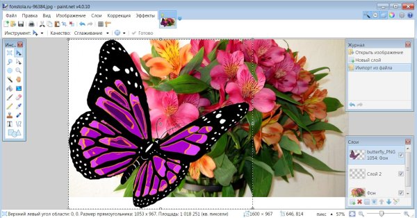 Как изменить фон фотографии в Paint на белый