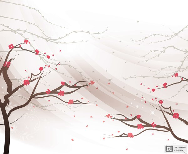 Сакура рисунок