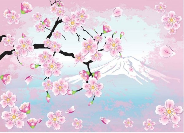 Сакура рисунок