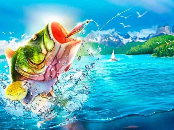 Баннер с рыбками