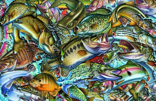 Коллаж рыбалка