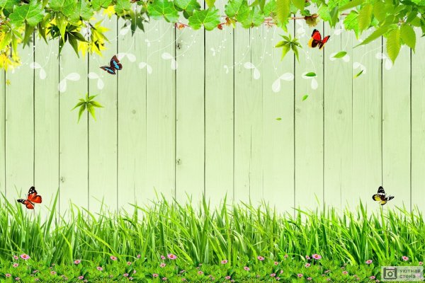 Фотообои забор