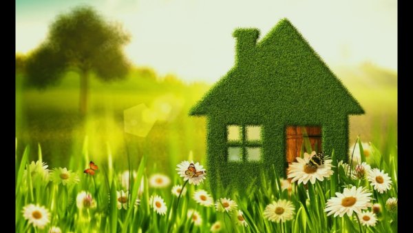 Нарисовать дом с огородом