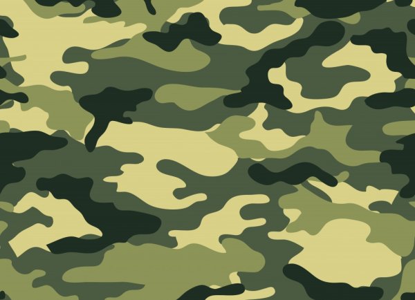 Цвет камуфляж