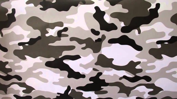 Камуфляжная расцветка