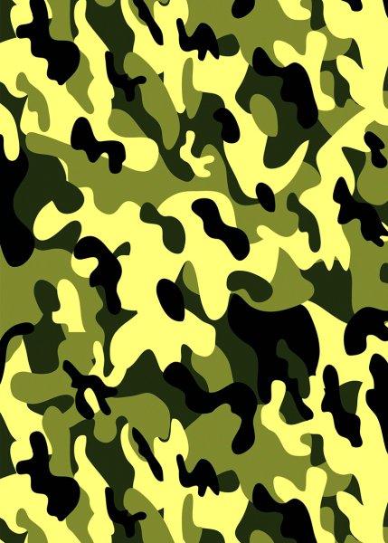 Военная пятнистая расцветка