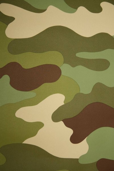 Защитный цвет военной